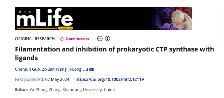 ShanghaiTech researchers unveil the structure and inhibition mechanism of prokaryotic CTP synthase